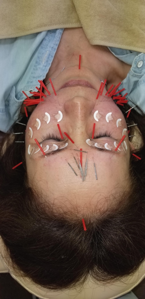 メニューの写真